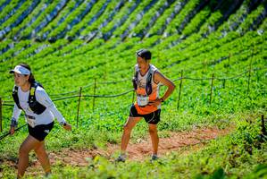 BIB: 
                            <button type="button" onclick="openModal(19163510)" class="btn btn-primary btn-sm float-right btn-popup" data-toggle="modal" data-target=".modal-high-quality">
                        <i class="fas fa-shopping-cart"></i> Add to Cart
                    </button>
                                            <button type="button" onclick="isThisMe(19163510, true)" class="btn btn-success btn-sm float-right btn-popup btn-isme hidden" data-toggle="tooltip" data-placement="bottom" title="นี่คือรูปของคุณใช่ไหม คลิกที่นี่เพื่อเอาเข้าอัลบั้ม">
                        <i class="fas fa-plus"></i> Add to album
                    </button>
                    <button type="button" onclick="isThisMe(19163510, false)" class="btn btn-warning btn-sm float-right btn-popup btn-isnotme hidden">
                        <i class="fas fa-ban"></i> Remove from album
                    </button>